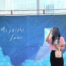 크레센트 솔로이스츠의 썸머 앙상블 | 히사이시조 영화 음악 콘서트 후기 (+롯데 콘서트홀 시야 방해)