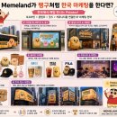 프로프라이프 | Memeland 인터뷰 시청 후기 ⚽