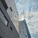 매출 5,000억 전문 기업 '일신비츠온' 임직원 AI 업무...실무 활용 교육 후기 (Feat. 왜 기업들은...