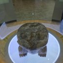 청송수석꽃돌박물관 이미지