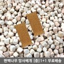 영진침구 이미지