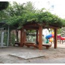 상록메디칼약국 이미지