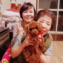 나루터민박 이미지