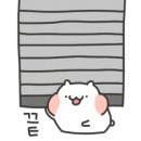 CnB맑고고운본점의원 이미지