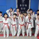 용인대 힘찬 태권도장 이미지