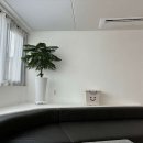 담아봄 풀빌라 이미지