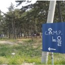 914 해변 캠핑장