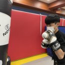 금광태권도 이미지