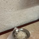 덕클 | 울산 태화동 맛집:: 퓨전 중식 블루리본 맛집 '덕클' 내돈내산 후기