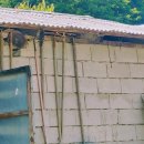 앵두목장 이미지