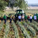 포에버농장 이미지