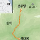 들꽃처럼 이미지