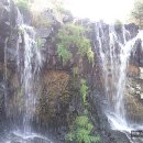 서귀 본향당 이미지