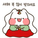 펫 동물병원 이미지