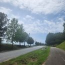 나무그늘파크(park) 이미지