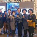 스타 인셀덤 네이버블로그