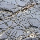 창선 가인리화석산지 이미지