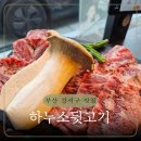 뒷고기한우 | 명지 한우 하누소뒷고기 명지점 점심특선 후기