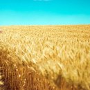 한국물산 이미지