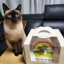 별내약국 | 모누롤산 요로감염 항생제 방광염약 정보 후기
