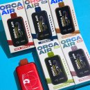 그린 (212) | 일회용 전담 ORCA AIR 5% 고농도 시리즈 사용 방법과 그린 그레이프 포카리 피치 등 5종류 맛 후기 리뷰!