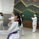 태권도 지화자 이미지