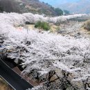 고향산천 Daum카페