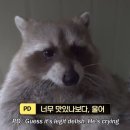 유에이치스위트 렌드스케이프 | UH SUITE Landscape 해운대 호텔 이용 후기