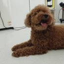 몽스토리 이미지