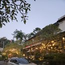 진보식품 | [발리] 우붓 시내 수영장 호텔 추천 후기 - 아누마나 우붓 꿀팁, 조식, 수영장, 저녁식사