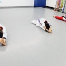 용인대파란태권도 이미지