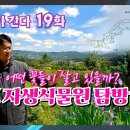 DMZ자생식물원 2 [꽃피디가간다 19화] 이미지