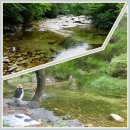 평택산악회제418차 함양영취산(1075m) 이미지