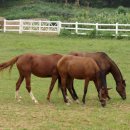 덕양민박 이미지