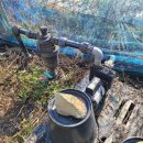 수일농장 이미지