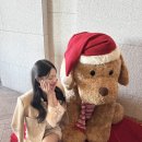 [12월/서울] 그랜드 하얏트 서울 / 크리스마스 호캉스🎄❤️ / 하얏트 아이스링크 / 포시즌스 보칼리노...