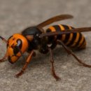 양주곤충박물관 이미지