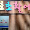 산호초활어회