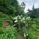 양평 민하우스 펜션 이미지