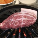 정열식당 네이버블로그