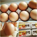 다솔농장 이미지