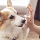 문화교실2 이미지