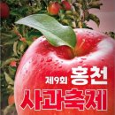 홍천 가볼만한곳 수타사 계곡 단풍 생태숲 산소길 원점회귀 공작산 (수타사 맛집) 홍천 사과 축제