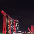 231126 Singapore Tour--------------4일차(SkyPark Observation Deck ) 이미지