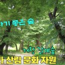 문화자원