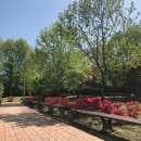 에프스포렉스 이미지