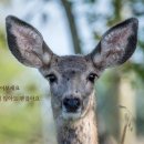 기술단주