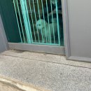 평택 애견미용 살롱 드 쭈 이미지