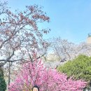 장미미용실 이미지