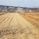 봉황주유소 이미지